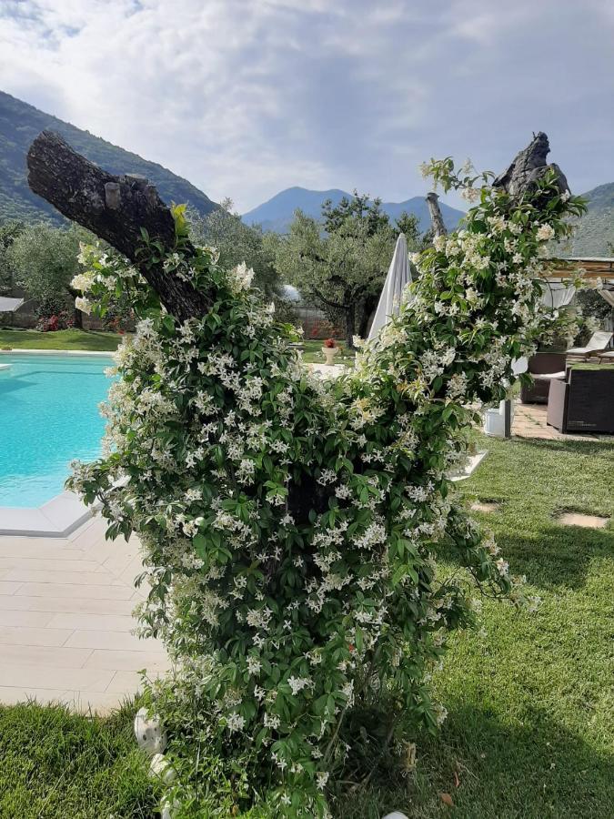 Alloggio Turistico L'Ulivo Monte San Biagio Exteriör bild