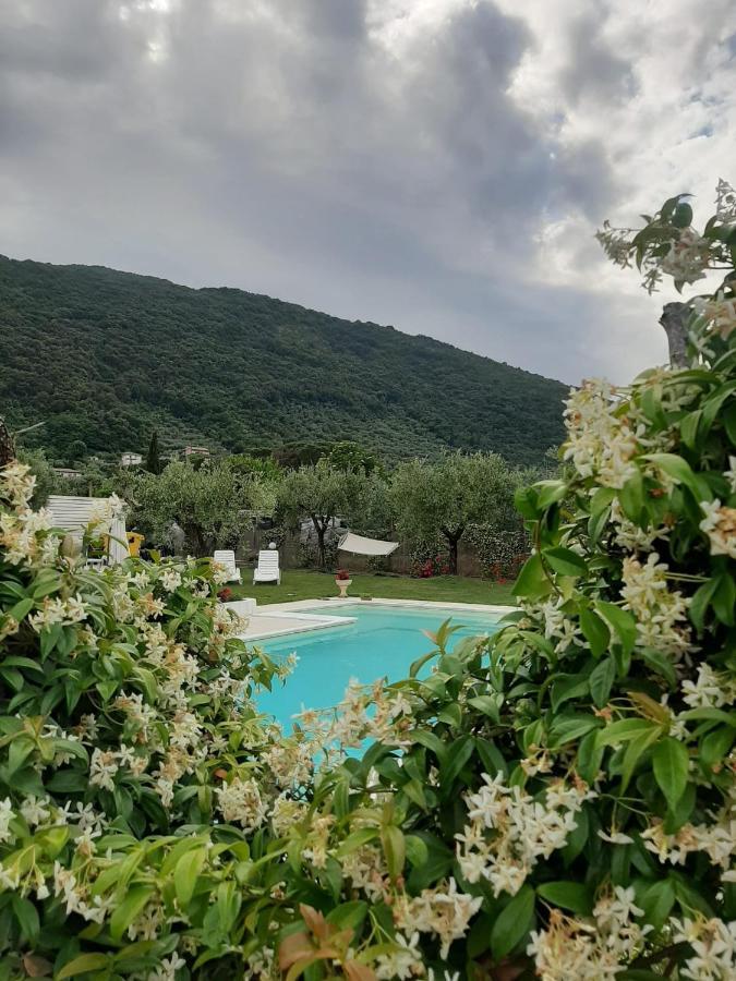 Alloggio Turistico L'Ulivo Monte San Biagio Exteriör bild