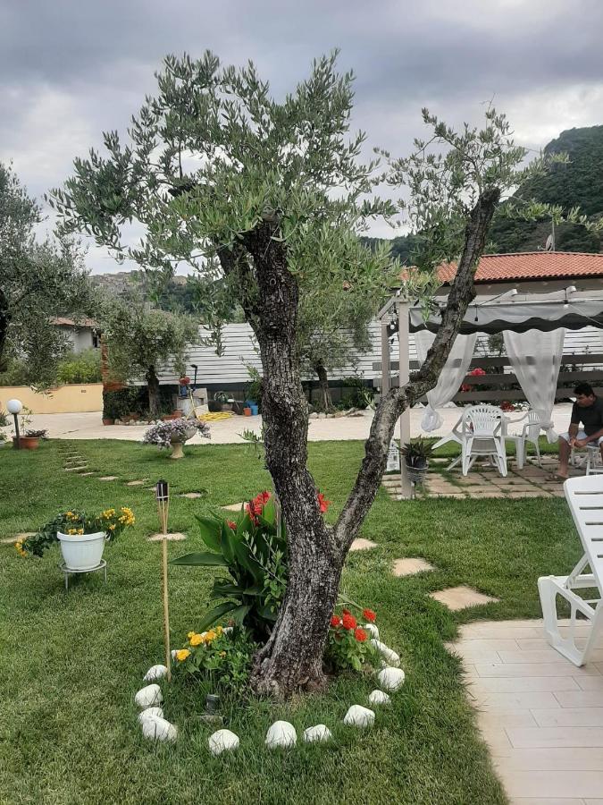 Alloggio Turistico L'Ulivo Monte San Biagio Exteriör bild